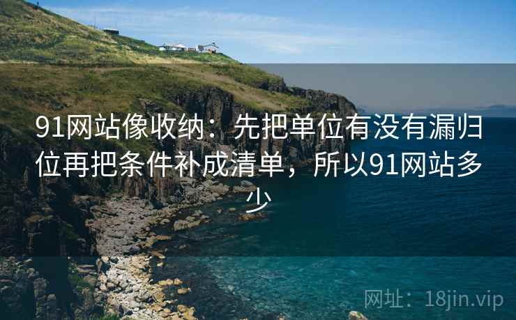 91网站像收纳：先把单位有没有漏归位再把条件补成清单，所以91网站多少