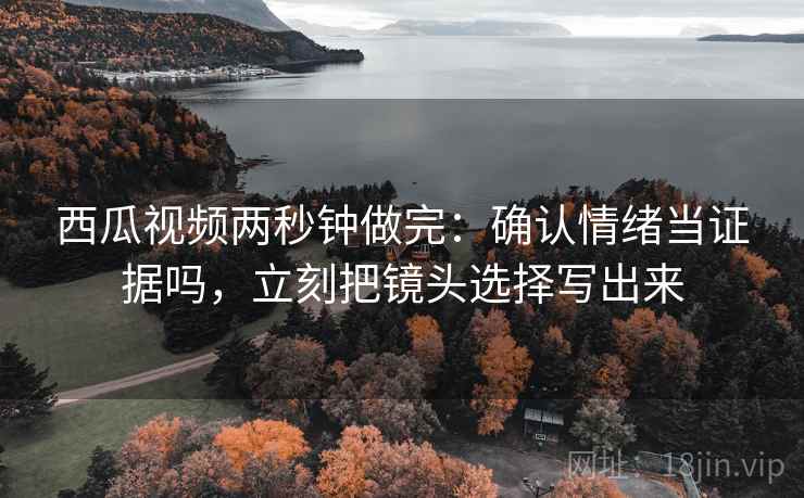 西瓜视频两秒钟做完：确认情绪当证据吗，立刻把镜头选择写出来